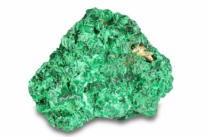 Fibrous Malachite Crystal Cluster - DR Congo #294634